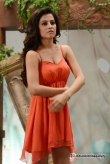 actress-disha-pandey-june-2013-stills-487488