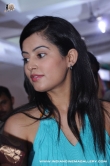 actress-disha-pandey-2011-photos-238248