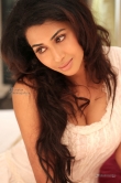 actress-gayathri-iyer-new-photos-31118
