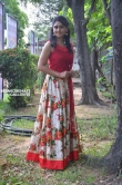 Geetha at Sangu Chakkaram Movie Press Meet stills (62)