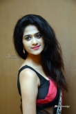harini-reddy-photos-at-dhada-puttistha-audio-launch-304676