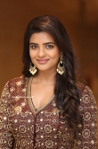 Aishwarya Rajesh at World Famous Lover Pre Release Event (11)