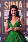 Shanvi Srivatsava at SIIMA Awards 2018 (3)