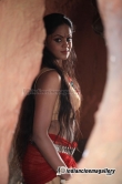 actress-karthika-nair-2012-stills-277386