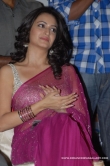 actress-kriti-kharbanda-2012-stills-449967