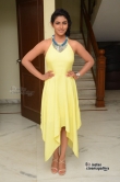 kruthika-jayakumar-stills-in-yellow-dress221339