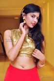 kushbu-telugu-actress-249395
