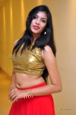 kushbu-telugu-actress-79808