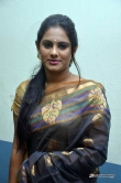 lakshmi-priyaa-chandramouli-at-alandur-fine-arts-awards-2016-66402