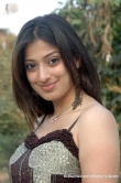 actress-lakshmi-rai-2008-stills-28767