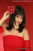 actress-lakshmi-rai-2008-stills-283944