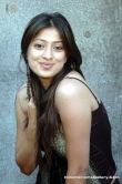 actress-lakshmi-rai-2008-stills-37819