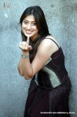 actress-lakshmi-rai-2008-stills-4635