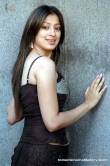 actress-lakshmi-rai-2008-stills-595