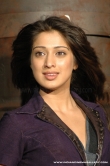 actress-lakshmi-rai-2010-pics-273870