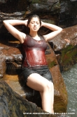 actress-lakshmi-rai-2010-pics-393615