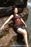 actress-lakshmi-rai-2010-pics-403114
