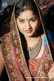 actress-madhavi-latha-2009-pics-30855