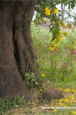meera-jasmine-2011-pics-159865