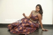 meghna at hbd movie audio launch (30)