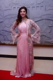 Mehreen Kaur Pirzada at nota movie event (22)