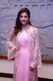 Mehreen Kaur Pirzada at nota movie event (25)