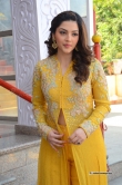 mehrene-kaur-pirzada-stills-in-yellow-dress-155956