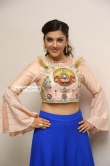 Raja The Great Movie Theatrical Trailer Launch photos for mehreen (18)