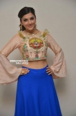 Raja The Great Movie Theatrical Trailer Launch photos for mehreen (4)