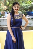 Mouryaani at Law movie press meet (13)