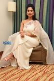 nabha natesh in white saree stills (12)