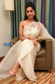 nabha natesh in white saree stills (8)