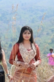 naina-sarwar-stills-in-adra-machan-visilu-movie-49416