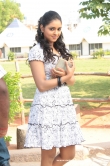 actress-nakshatra-2010-stills-322506
