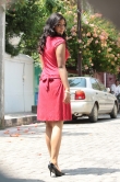 actress-nakshatra-2010-stills-355770