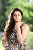 Namitha in pulimurugan movie (10)