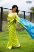Nandita Swetha in green saree stills (1)