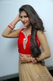 neha-saxena-at-just-love-audio-release-65314