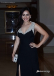 neha-sharma-at-25-film-completion-party-14234