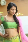 south-indian-actress-nikitha-bisht-411734
