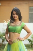 south-indian-actress-nikitha-bisht-489599