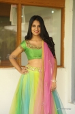 south-indian-actress-nikitha-bisht-71794