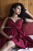 Nithya Naresh Latest Photoshoot (6)
