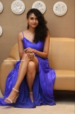Nithya Naresh at Operation Gold Fish Movie Pre Release Event (11)