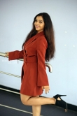 Nithya Shetty at nuvvu thopu raa trailer launch (9)