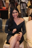 Palak Lalwani at Crazy Crazy feeling Audio Release (6)