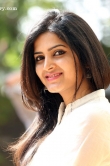 actress-pavani-gangireddy-stills-259517