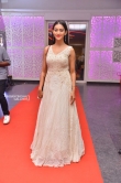 Pooja Jhaveri at Shoban Babu Awards 2019 (2)