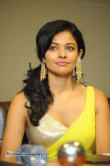 actress-pooja-kumar-stills-228116