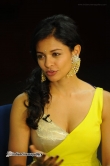 actress-pooja-kumar-stills-252828
